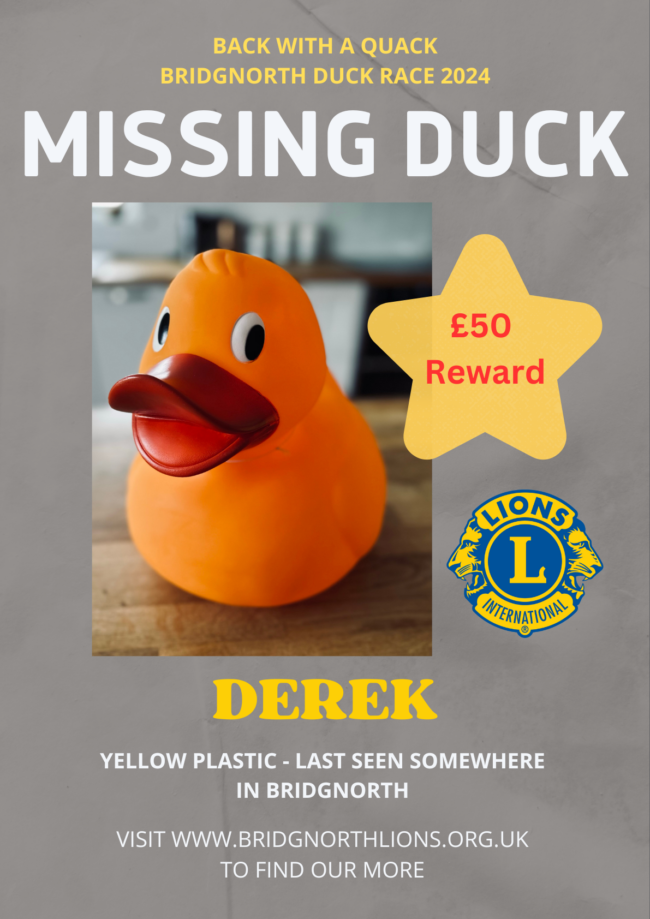 Duck Missing Poster